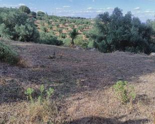 Land for sale in  Córdoba Capital