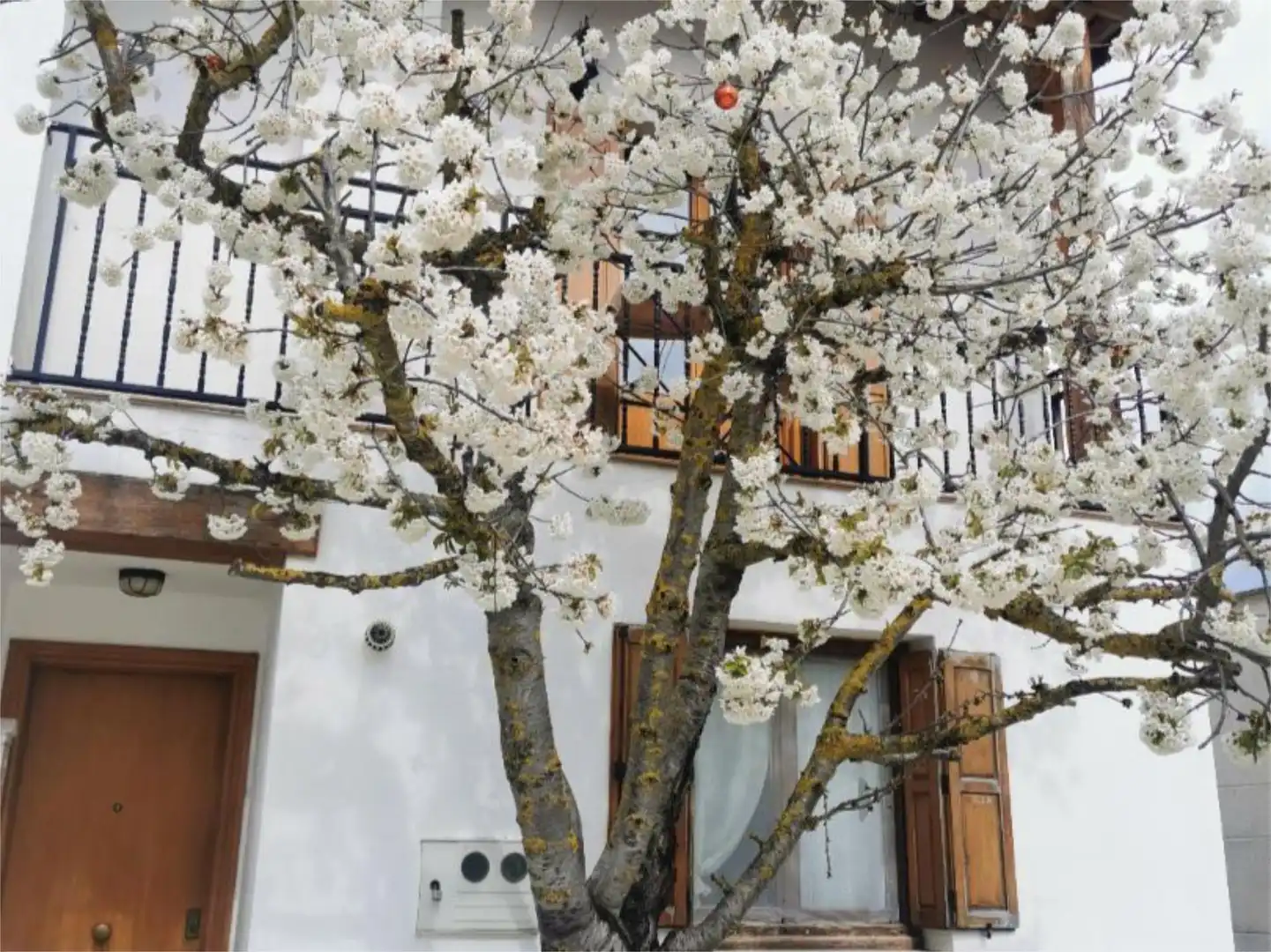 Piso en venta en Calle de Iturbide, 12, Galar Vista exterior de Piso en venta en Galar con Calefacción, Terraza y Trastero