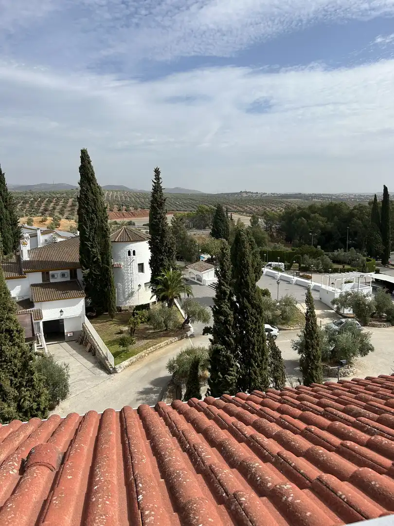 Piso en venta en Calle Alfredo Calderón, 810, La Carolina Piso en venta en La Carolina con Aire acondicionado, Calefacción y Jardín privado