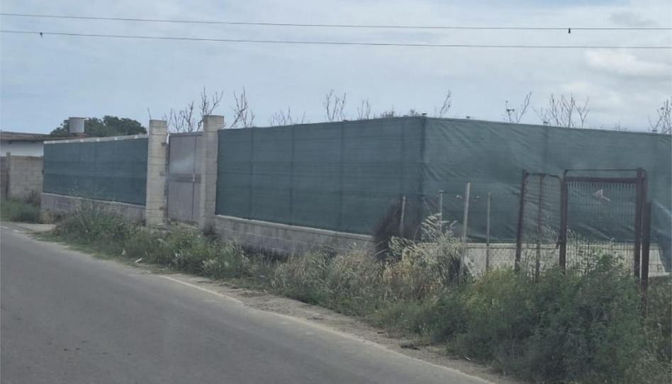 Finca rústica en venda a Plaça de L'ajuntament, 3, Sueca ciudad, Valencia - imatge 1 Foto 1 de Finca rústica en venda a Plaça de L'ajuntament, 3, Sueca ciudad, Valencia