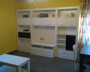 Living room of Flat to rent in  Madrid Capital  with Air Conditioner, Heating and Furnished
