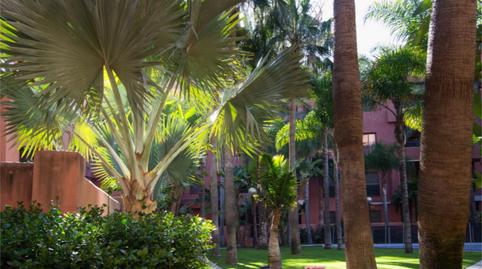 Pis de lloguer a Calle Rector Pascual Rivas Carrera, 4, Playa de Granada, Granada - imatge 3 Foto 3 de Pis de lloguer a Calle Rector Pascual Rivas Carrera, 4, Playa de Granada, Granada