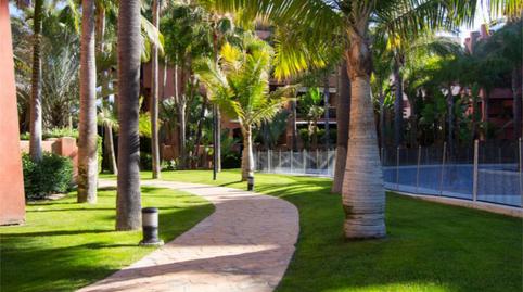 Pis de lloguer a Calle Rector Pascual Rivas Carrera, 4, Playa de Granada, Granada - imatge 4 Foto 4 de Pis de lloguer a Calle Rector Pascual Rivas Carrera, 4, Playa de Granada, Granada