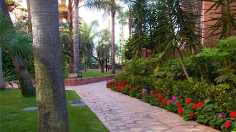 Pis de lloguer a Calle Rector Pascual Rivas Carrera, 4, Playa de Granada, Granada - imatge 5 Foto 5 de Pis de lloguer a Calle Rector Pascual Rivas Carrera, 4, Playa de Granada, Granada