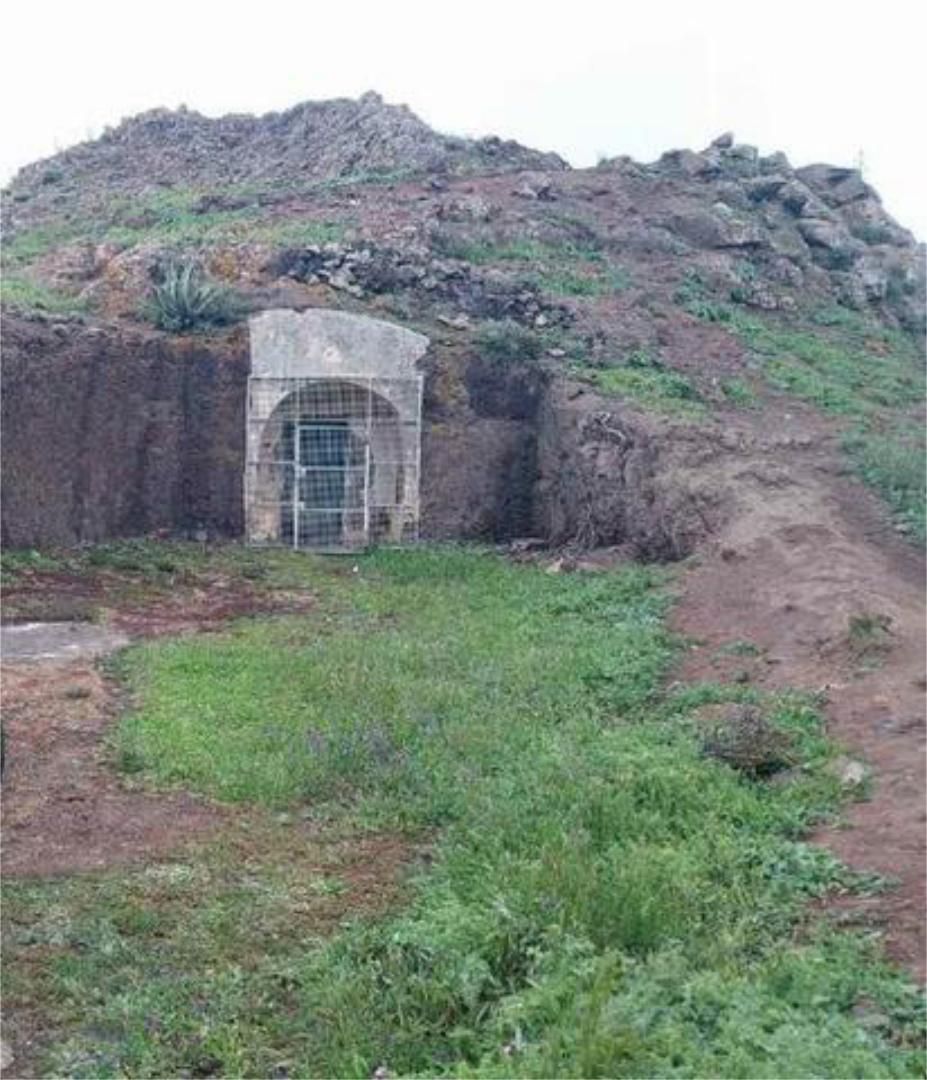 Jardí de Estudi de lloguer en Gáldar