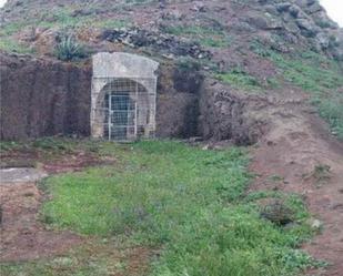 Jardí de Estudi de lloguer en Gáldar