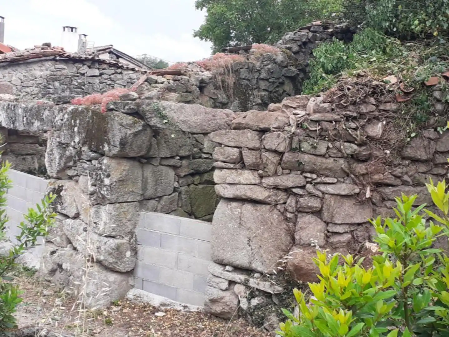 Bebaubares Gelände zum Verkauf in CP-3, 66, Baños de Molgas Garten von Bebaubares Gelände zum Verkauf in Baños de Molgas