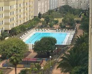 Piscina de Pis de lloguer en Las Palmas de Gran Canaria amb Jardí privat, Piscina i Moblat