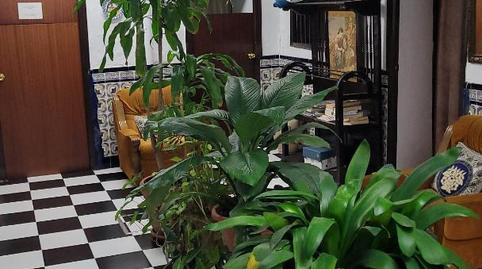 Casa adosada en venda a Carrer Barreduela Canarios, 4, San Bartolomé, Sevilla - imatge 4 Foto 4 de Casa adosada en venda a Carrer Barreduela Canarios, 4, San Bartolomé, Sevilla