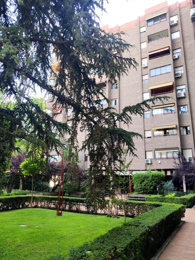 Vista exterior de Pis en venda en  Madrid Capital amb Aire condicionat, Terrassa i Piscina