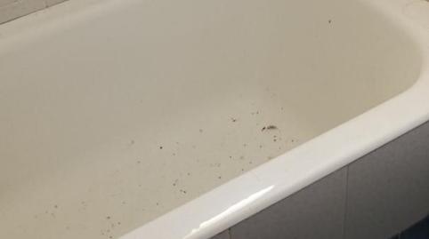 Casa o chalet en venta en Butroi Auzoa, 11, Gatika, Bizkaia - imagen 3 Foto 3 de Casa o chalet en venta en Butroi Auzoa, 11, Gatika, Bizkaia