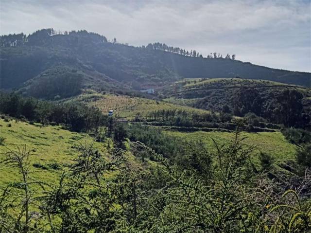 Terreno en Venta en Camino el Pinillo, 1 en Moya (Las Palmas)