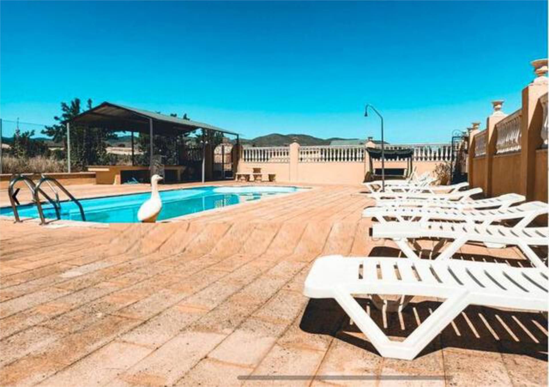 Swimming pool of Single-family semi-detached for sale in Guadix  with Heating, Private garden and Terrace