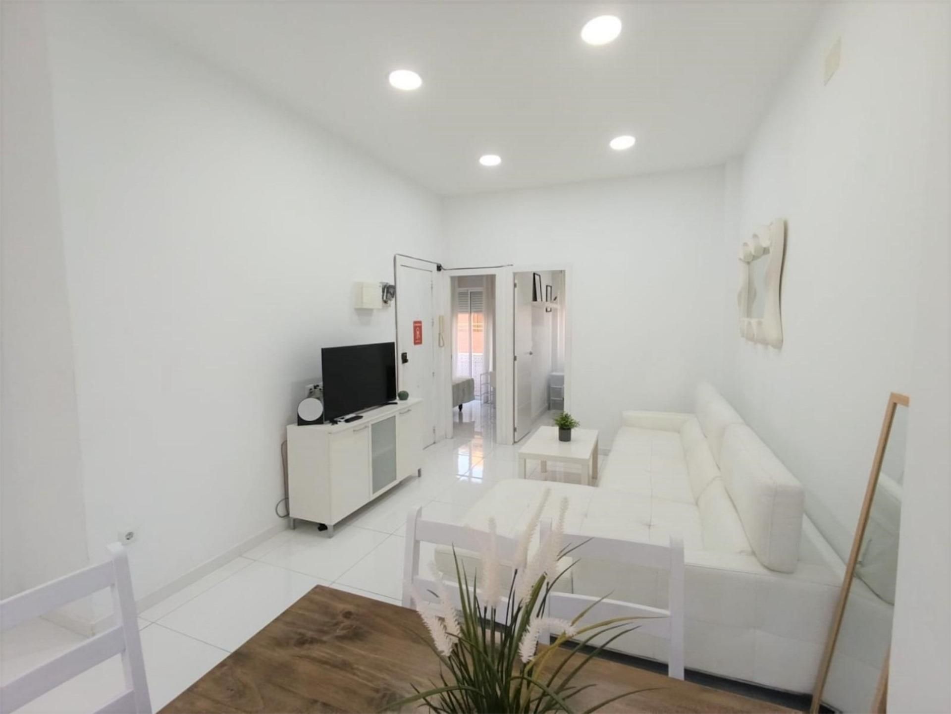 Living room of Flat to rent in Alicante / Alacant  with Air Conditioner, Heating and Furnished