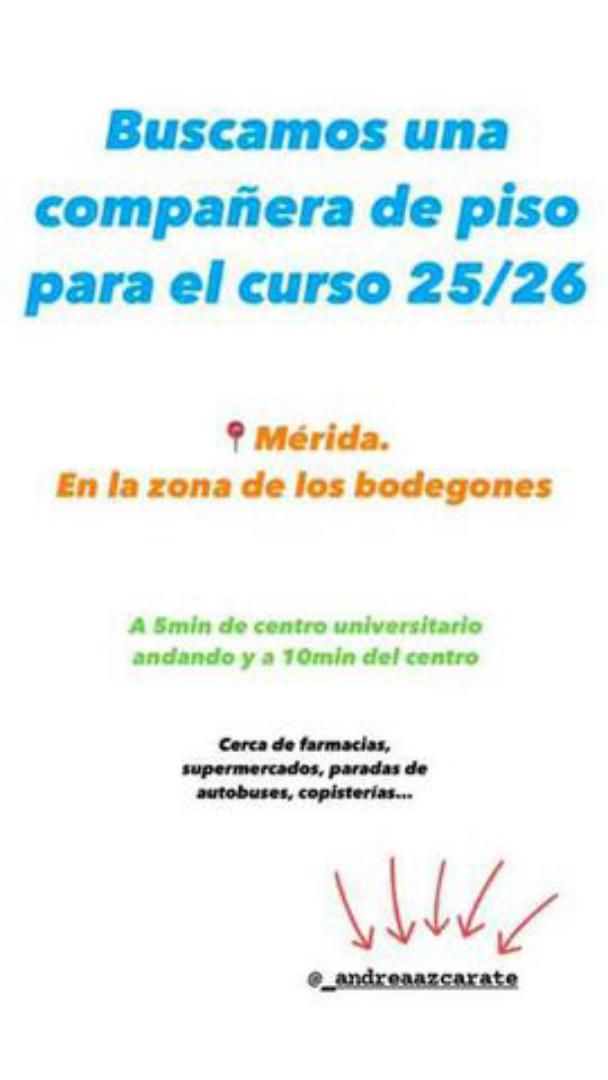 Garden of Apartment to share in Mérida