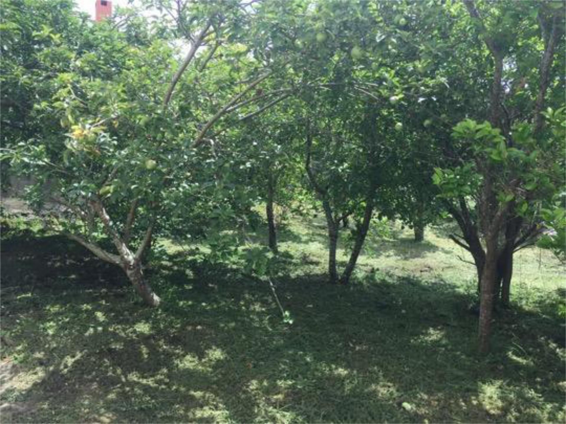 House or chalet to rent in Carnota  with Private garden, Terrace and Storage room