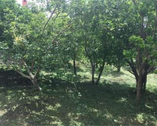House or chalet to rent in Carnota