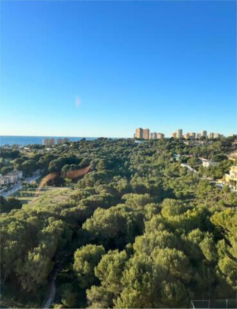 Vista exterior de Apartament de lloguer en Orihuela amb Calefacció, Jardí privat i Terrassa