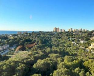 Vista exterior de Apartament de lloguer en Orihuela amb Calefacció, Jardí privat i Terrassa