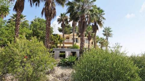 Foto 3 de Finca rústica en venda a Partida Captivador, 1, El Tossal - Bello Horizonte, Alicante