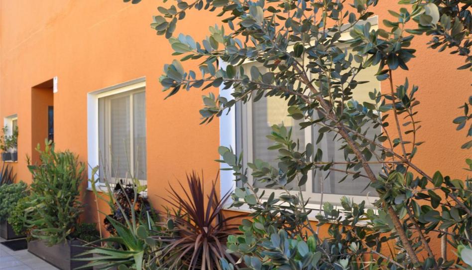 Casa adosada en venta en Carrer Provença, 7, Sant Pere Pescador, Girona - imagen 1 Foto 1 de Casa adosada en venta en Carrer Provença, 7, Sant Pere Pescador, Girona