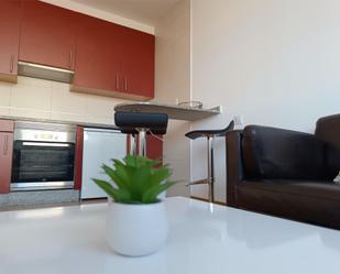 Kitchen of Study to rent in Vigo   with Heating, Parquet flooring and Furnished