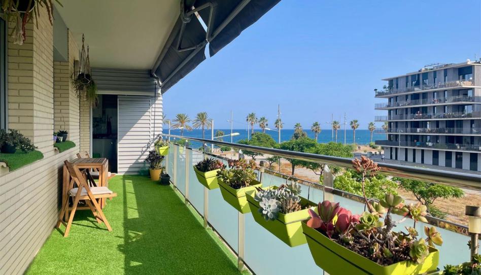 Foto 1 de Piso en venta en Carrer de la Mar Egea, 4, Port, Barcelona
