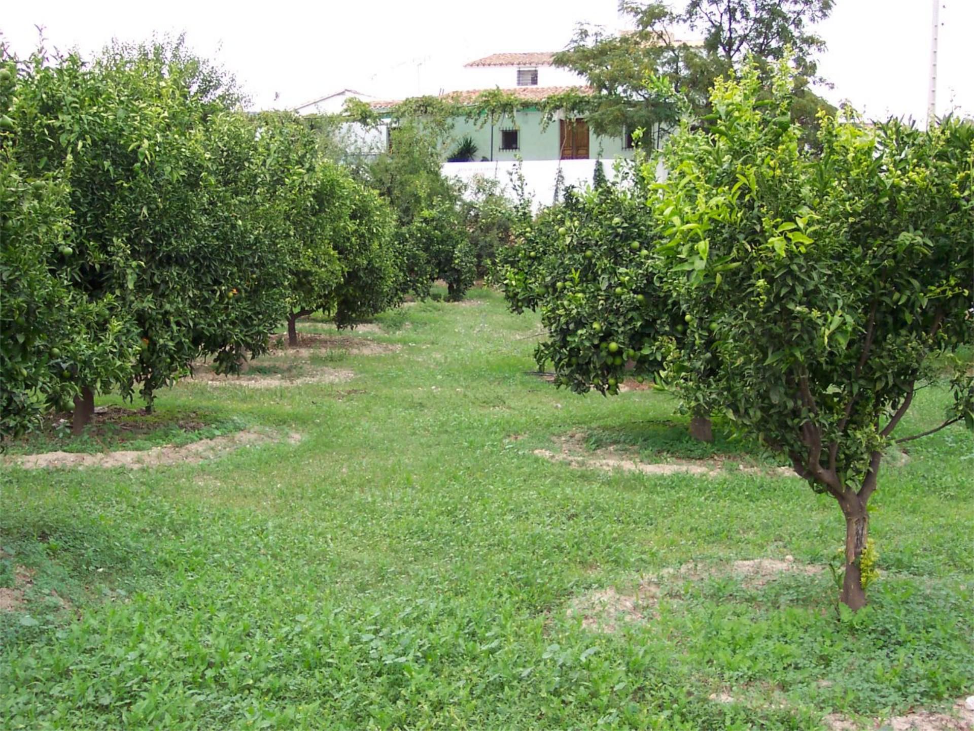 Country house for sale in Lubrín