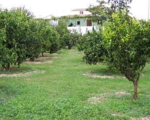 Finca rústica en venda en Lubrín