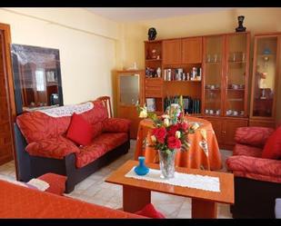 Sala d'estar de Pis de lloguer en Siles amb Jardí privat, Moblat i Forn