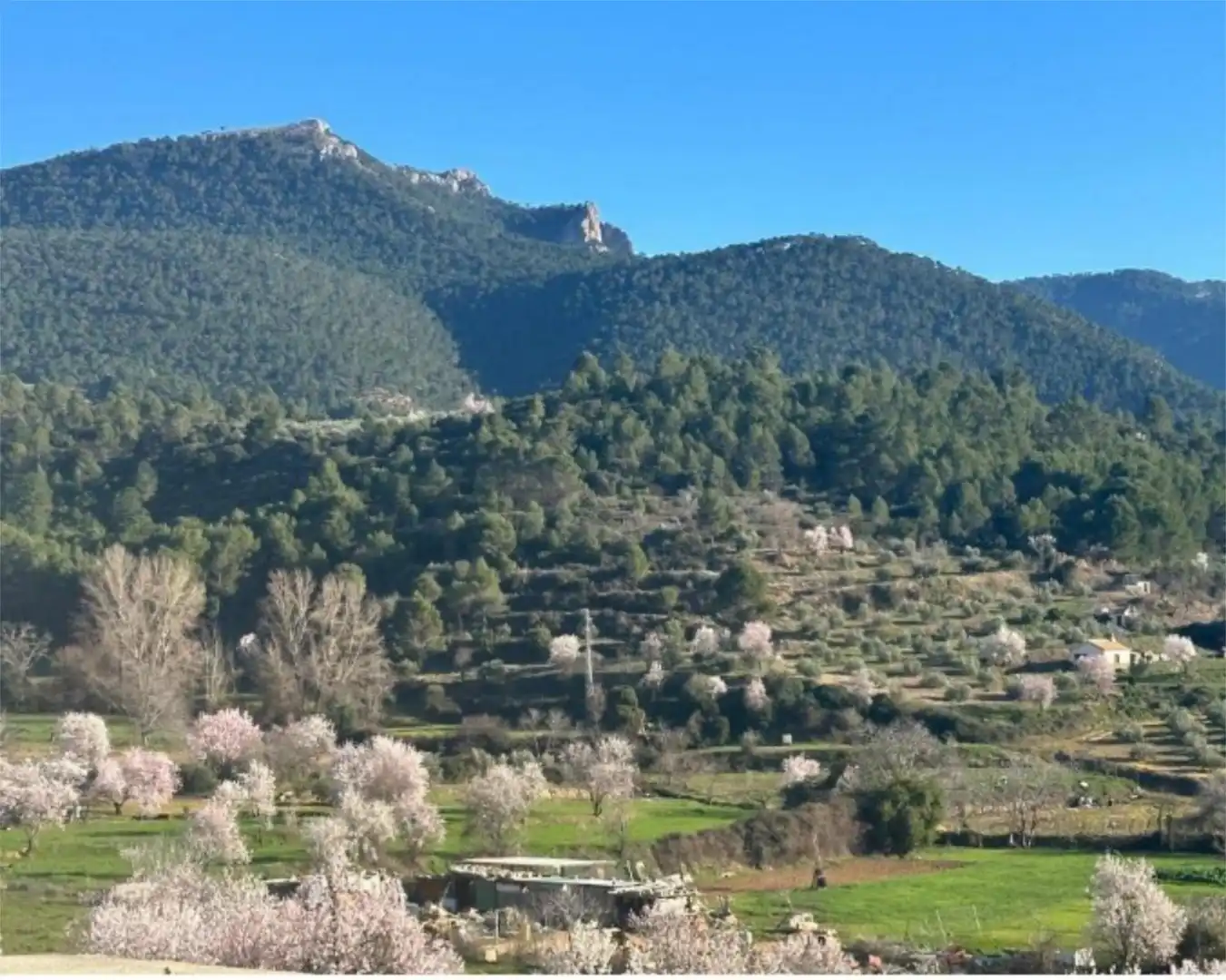 Flat for rent in Calle Joaquín Paya, 18, Siles