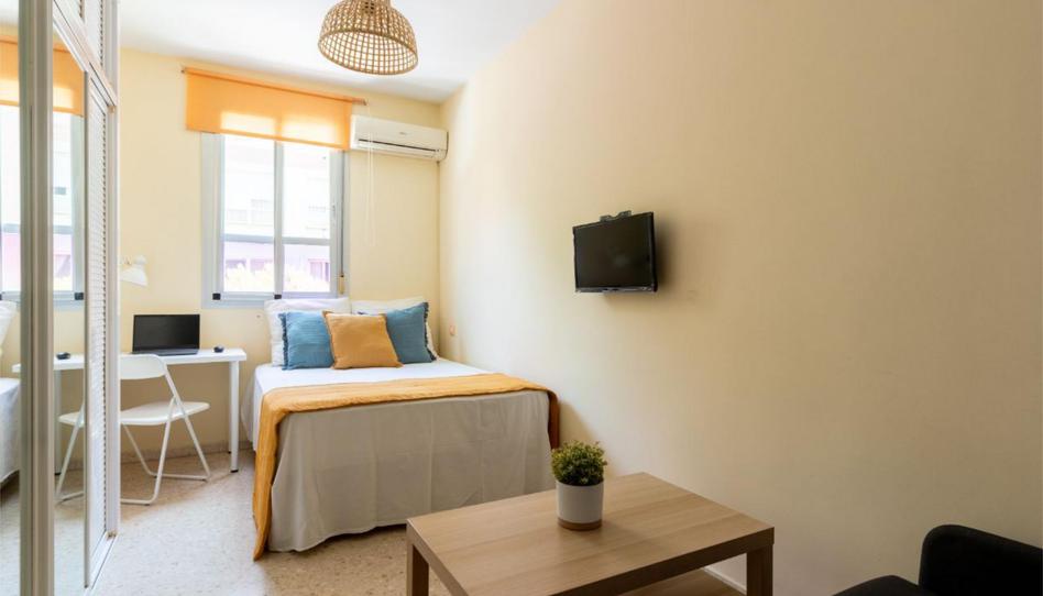 Piso para compartir en Calle Santaella, 2, Palmete, Sevilla - imagen 1 Foto 1 de Piso para compartir en Calle Santaella, 2, Palmete, Sevilla