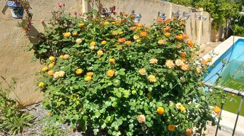 Photo 4 of House or chalet for sale in Calle Jaén, 2, Torreblascopedro, Jaén