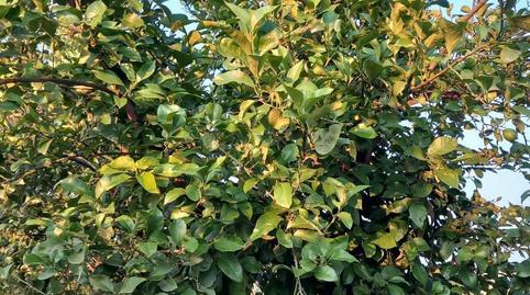 Photo 5 of House or chalet for sale in Calle Jaén, 2, Torreblascopedro, Jaén