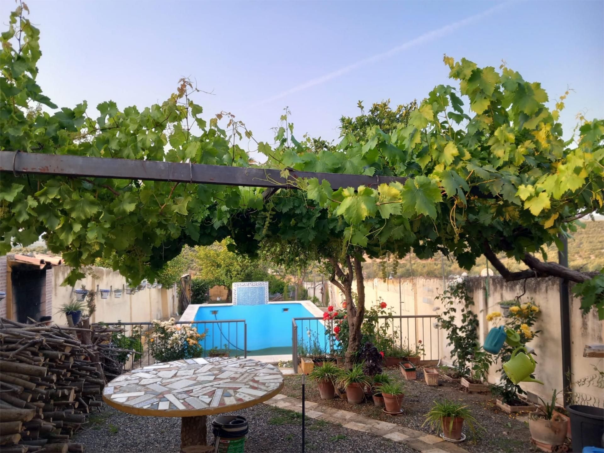 Garden of House or chalet for sale in Torreblascopedro  with Private garden, Terrace and Swimming Pool