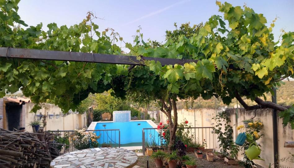 Photo 1 of House or chalet for sale in Calle Jaén, 2, Torreblascopedro, Jaén