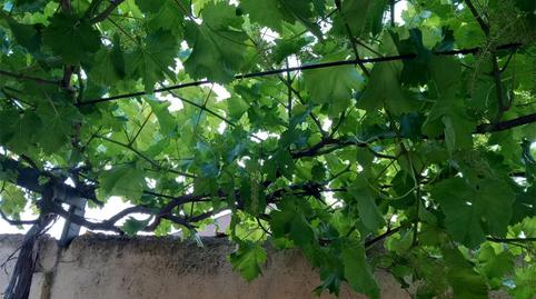 Photo 3 of House or chalet for sale in Calle Jaén, 2, Torreblascopedro, Jaén