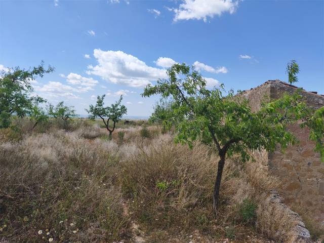 Terreno en Venta en Carrer Sant Miquel, 2 en Granyena de les Garrigues