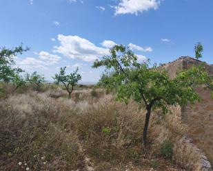Land for sale in Granyena de les Garrigues