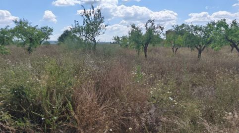Foto 5 von Grundstücke zum Verkauf in Carrer Sant Miquel, 2, Granyena de les Garrigues, Lleida