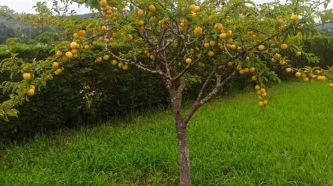 Photo 3 of Constructible Land for sale in Barrio Zurita, 66, Zurita, Cantabria