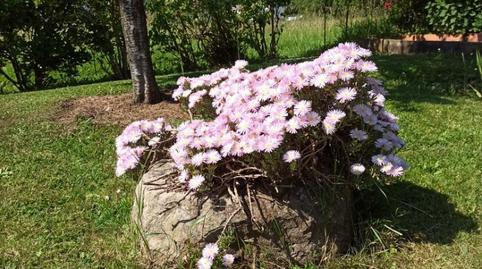 Constructible Land for sale in Barrio Zurita, 66, Zurita, Piélagos - image 3 Photo 3 of Constructible Land for sale in Barrio Zurita, 66, Zurita, Piélagos