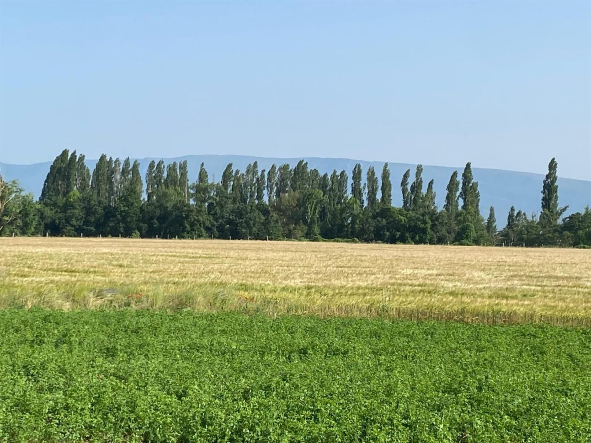 Constructible Land for sale in Villarcayo de Merindad de Castilla la Vieja