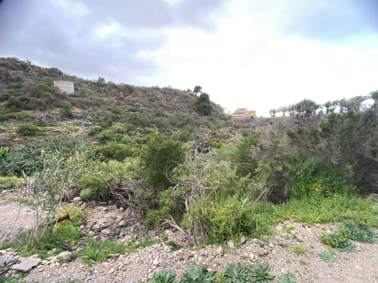 Nicht bebaubares Gelände zum Verkauf in Calle la Tabona, 10, La Guancha Nicht bebaubares Gelände zum Verkauf in La Guancha