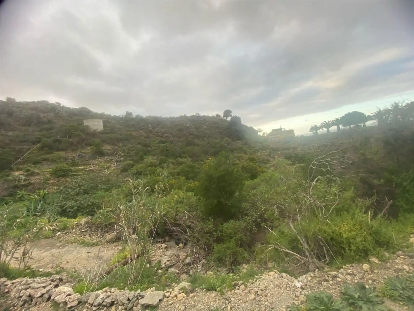 Nicht bebaubares Gelände zum Verkauf in Calle la Tabona, 10, La Guancha Nicht bebaubares Gelände zum Verkauf in La Guancha