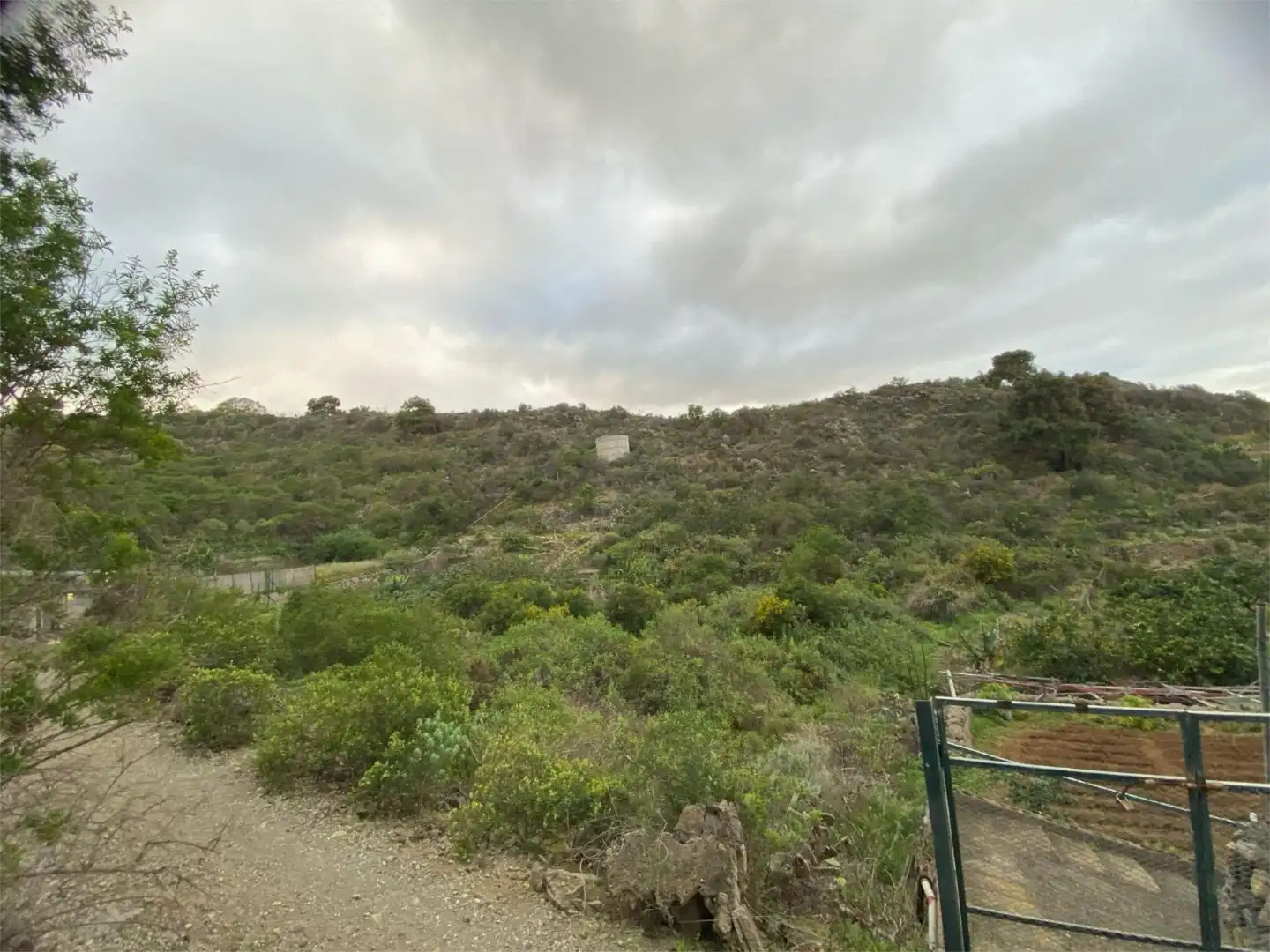 Nicht bebaubares Gelände zum Verkauf in Calle la Tabona, 10, La Guancha Nicht bebaubares Gelände zum Verkauf in La Guancha