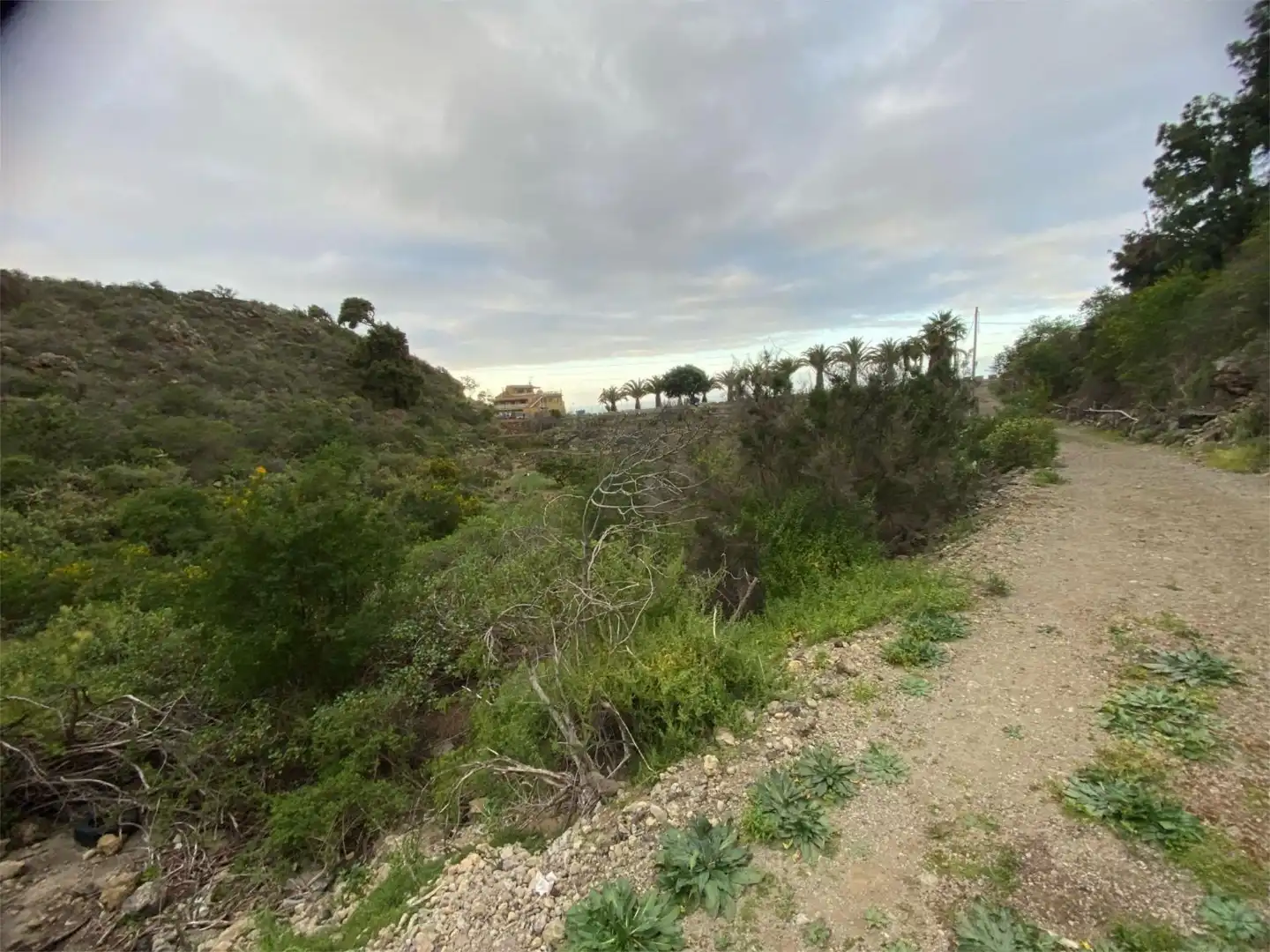 Nicht bebaubares Gelände zum Verkauf in Calle la Tabona, 10, La Guancha Nicht bebaubares Gelände zum Verkauf in La Guancha
