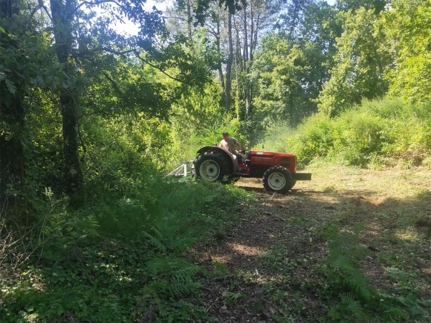 Constructible Land for sale in Santa Marta, 18, Crecente Exterior view of Constructible Land for sale in Crecente