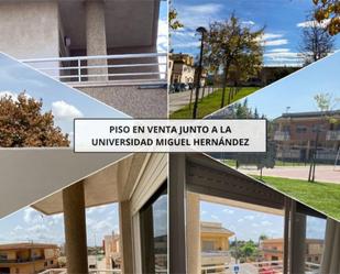 Vista exterior de Pis en venda en Orihuela amb Moblat i Balcó