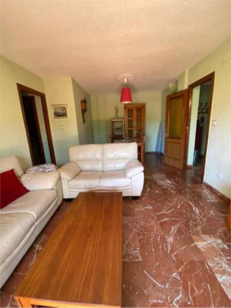 Living room of Flat to rent in  Granada Capital  with Private garden, Terrace and Swimming Pool